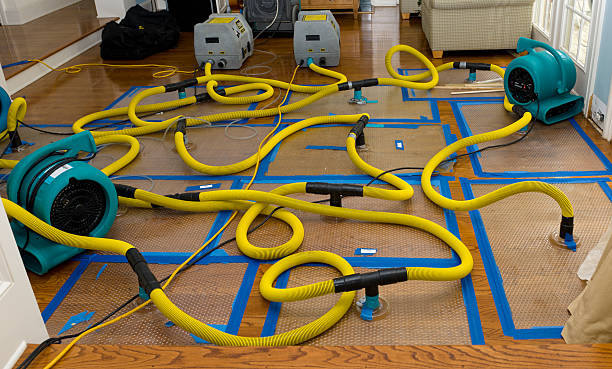 Professional Water Damage Restoration technician working in Harvard, NE